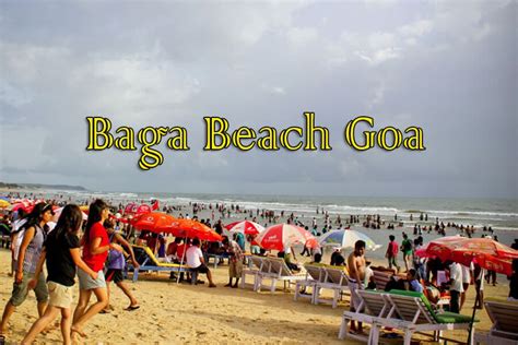 Baga Beach Goa Goa Travel India Tour Goa