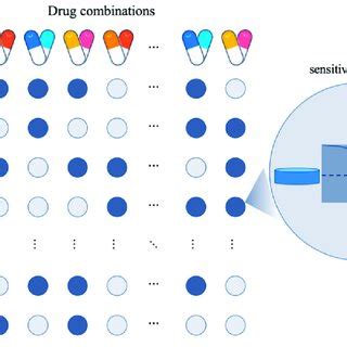 The Overall Framework Of Drug Combination Response Prediction Model