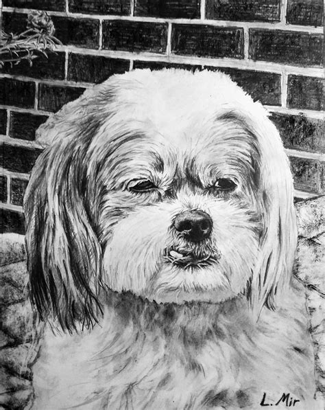 Handmade Dog Portraits in Pencil - PaintYourLife