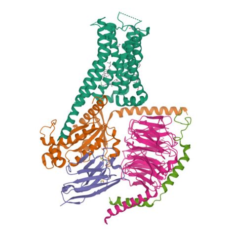 Rcsb Pdb 7x2f Cryo Em Structure Of The Dopamine And Ly3154207 Bound