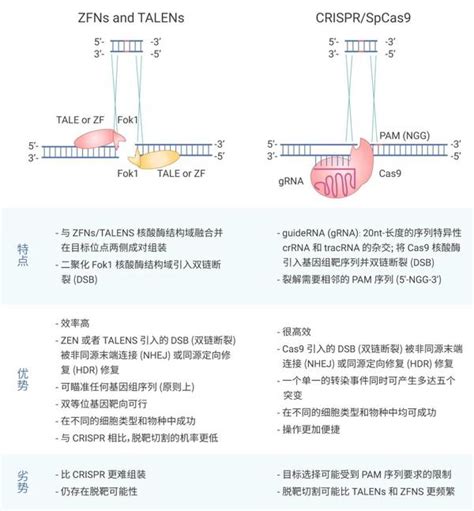 基因编辑技术 Crisprcas9，“魔剪”一文通~ Medchemexpress 知乎