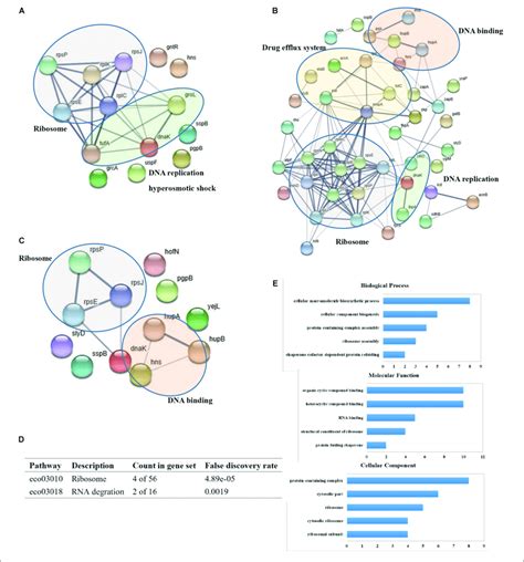 Defining The Mcr Functional Interactome A Ppi Network Generated