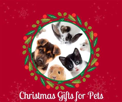 Christmas Presents for Pets - Pet Bliss Ireland