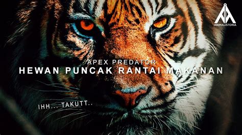 7 Hewan Pemegang Puncak Rantai Makanan Apex Predator Youtube