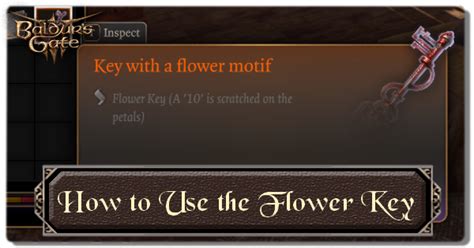 How To Use The Flower Key Act 3 Baldurs Gate 3 Bg3｜game8