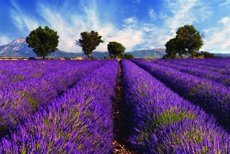 Best Time To Visit Provence Living Nomads Travel Tips Guides