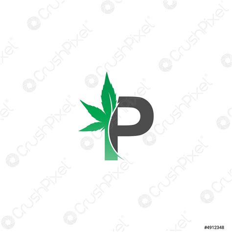 Letter P Logo Icon With Cannabis Leaf Design Vector Stock Vector