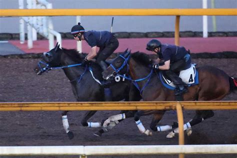 【新潟記念】ライトバックは余裕の手応えで1馬身先着 茶木師「春より我慢が利くようになってきた」 サンスポzbat