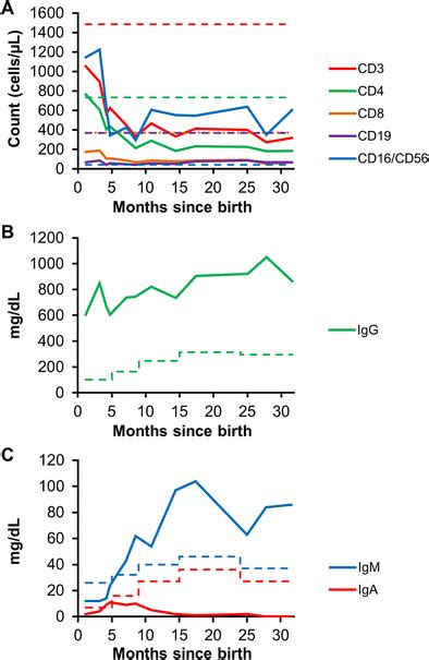 Lymphocyte Subset And Immunoglobulin Quantitation A Lymphocyte