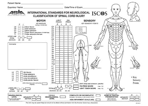 2: ASIA Impairment Scale scoring chart (taken from... | Download Scientific Diagram