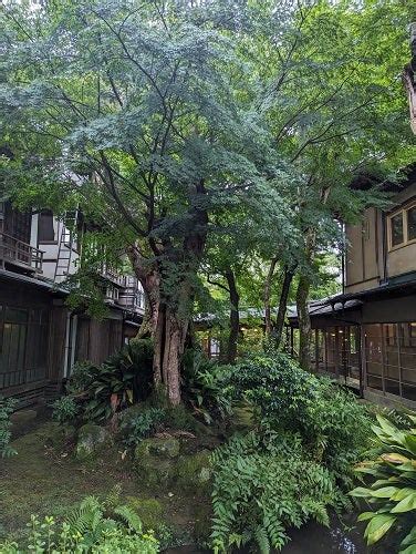 へんなお天気になっています。 伊豆修善寺温泉 登録有形文化財 新井旅館 ブログ 「あらゐ日記」