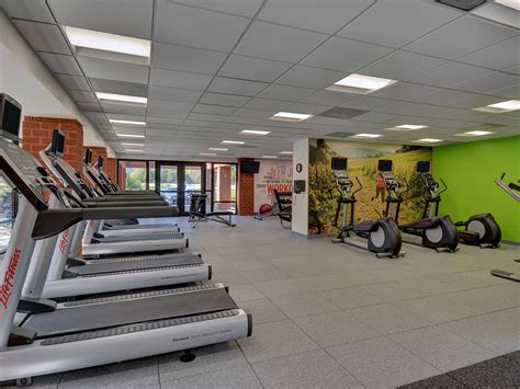 Pet-Friendly Hotel near IAD | Holiday Inn Washington-Dulles Intl Airport