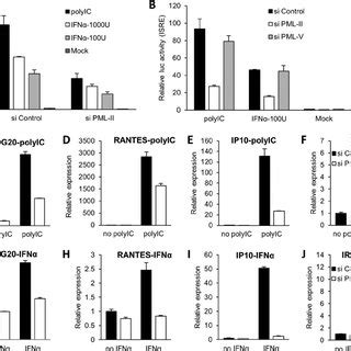 Depletion Of PML II Impairs Activities Of IRF3 And NF B A E