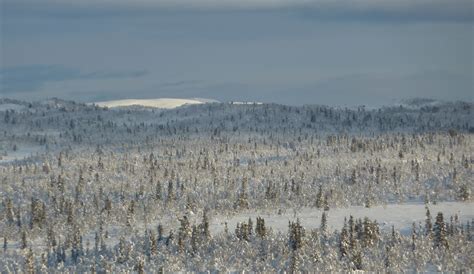 Elevation map of Buskerud, Norway - Topographic Map - Altitude Map