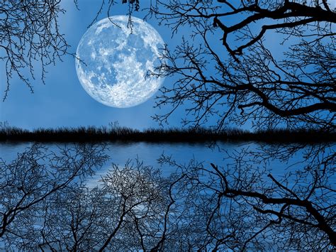 Naturaleza Anochecer Luna Llena Foto Gratis En Pixabay Pixabay