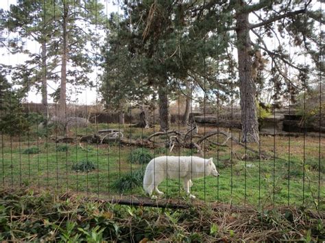 Denver Zoo – Denver, CO