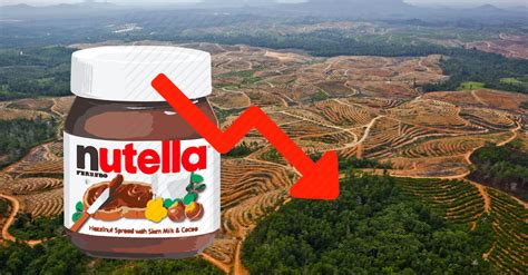 NUTELLA S ACCROCHE À L HUILE DE PALME SES PARTS DE MARCHÉ RECULENT