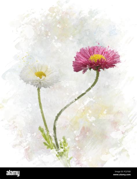 Fr Hling Blumen Aquarell Stockfotografie Alamy