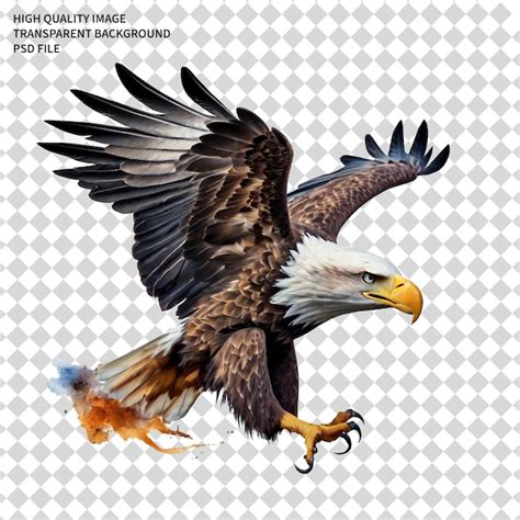 Vector D Oiseau D Aigle Clipart PSD Png Fond Transparent PSD Premium