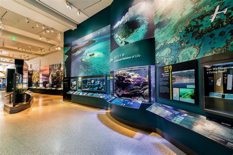 1200 Gallon National Museum Of Natural History Indo Pacific Living