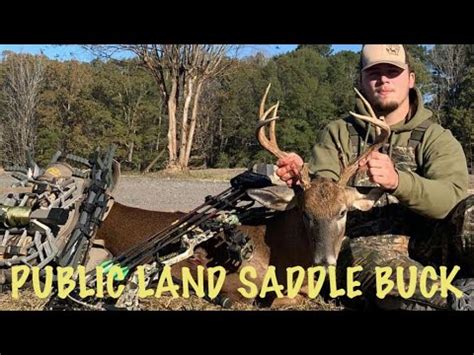 Bucks Everywhere Self Filmed Saddle Hunt With Bow Youtube