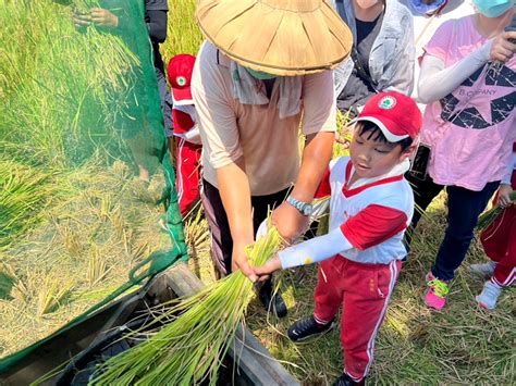 羅東食農教育帶動幼兒「愛稻永遠」 宜蘭新聞網