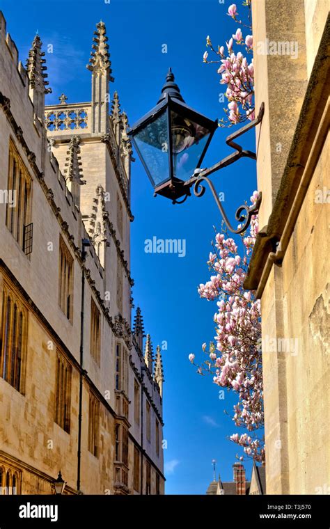 A Street Lamp In Catte Street Oxford England Uk With The University