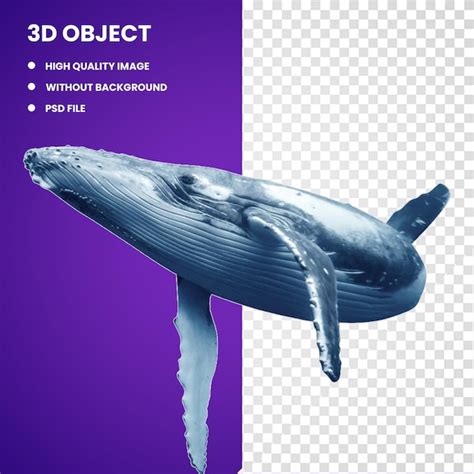 Premium Psd D Humpback Whale Blue Whale Wholphin Common Bottlenose