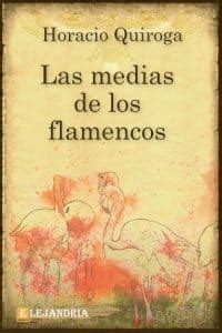 Libro Las medias de los flamencos en PDF y ePub Elejandría