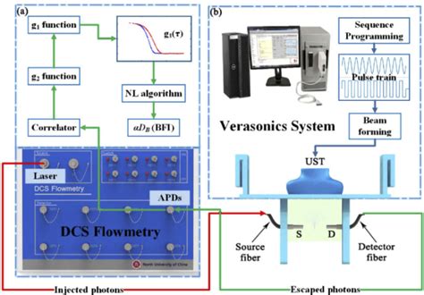 Figure From Enhancement Of Diffuse Correlation Spectroscopy Tissue