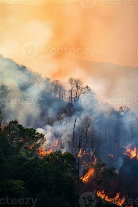 Forest fire background 26658514 Stock Photo at Vecteezy