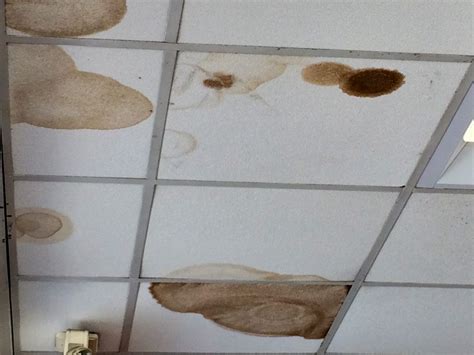 Brown Spots On Bathroom Ceiling Causes Hazards And Solutions