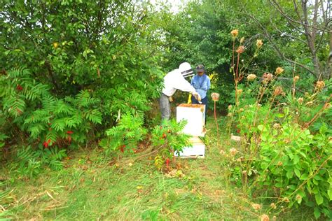 edible forest – Wisconsin Food Forests