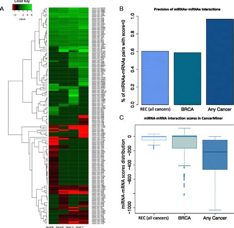 Microrna Mirna Expression Analysis And Mirna Messenger Rna Mrna