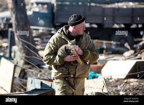 Cat Army Hi Res Stock Photography And Images Alamy