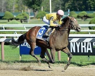 Wavell Avenue too much for Shine Again rivals | TwinSpires