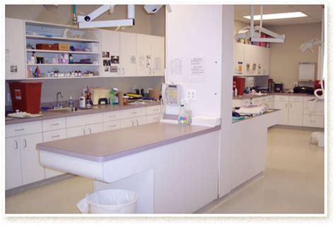 Take A Look At Our Scituate Veterinary Hospital