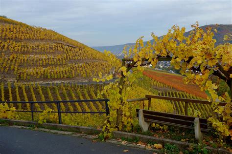 Mosel Wine Tours Bottlestops