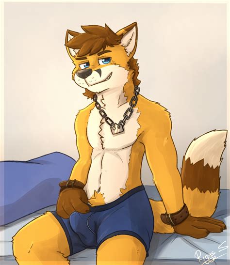 Rule 34 Anthro Bed Boxers Clothing Bulge Canid Canine Canis Chains