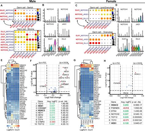 Frontiers Ligandreceptor Interactions Elucidate Sex Specific