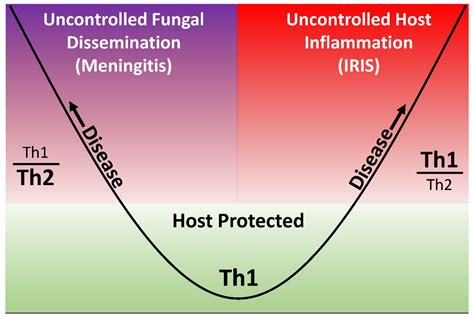 Jof Free Full Text Diagnosis And Management Of Central Nervous System Cryptococcal