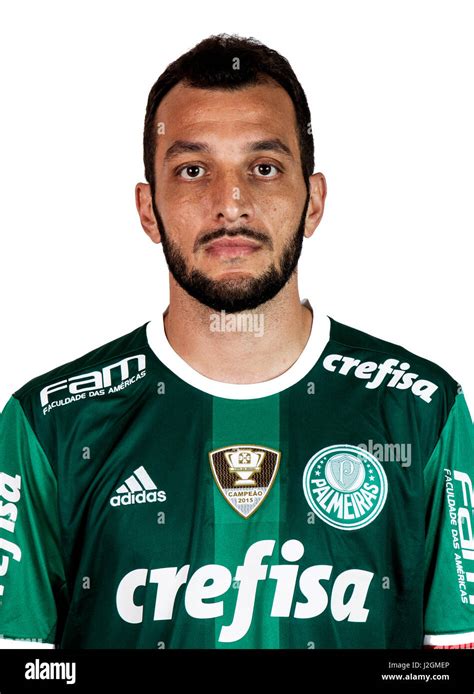 Brazilian Football League Serie A Sociedade Esportiva Palmeiras