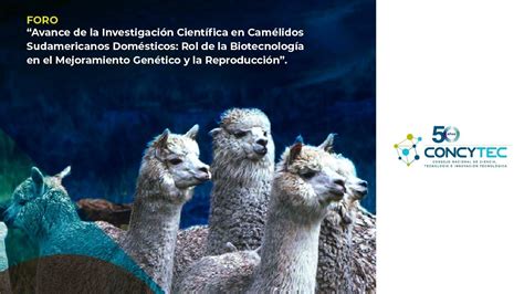 Avance de la Investigación Científica en Camélidos Sudamericanos