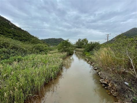 Sustainable Lantau Office Environment And Biodiversity