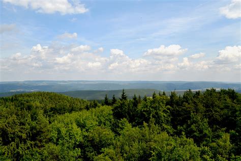 Free Images Landscape Sea Tree Nature Forest Grass Horizon