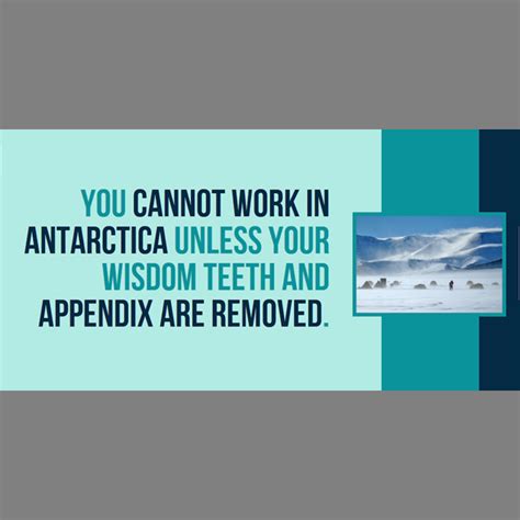 31 Facts You Didnt Know About Antarctica