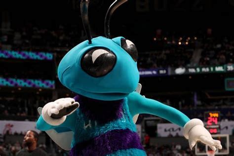 Who is the Charlotte HorNets' mascot, Hugo the HorNet?