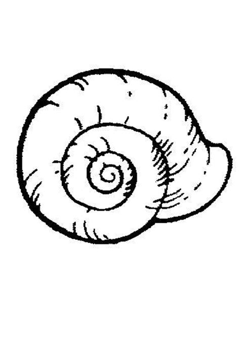 Shells Colouring Clipart Best