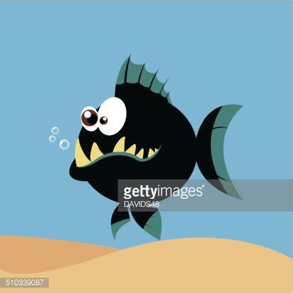 Piranha Stock Clipart Royalty Free Freeimages