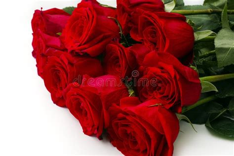 Ramalhete De Rosas Vermelhas E De Flores Brancas Pequenas Foto De Stock